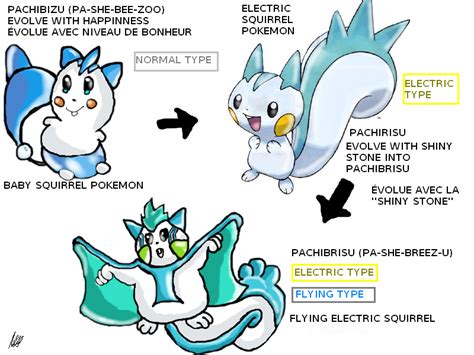 evolution of pachirisu